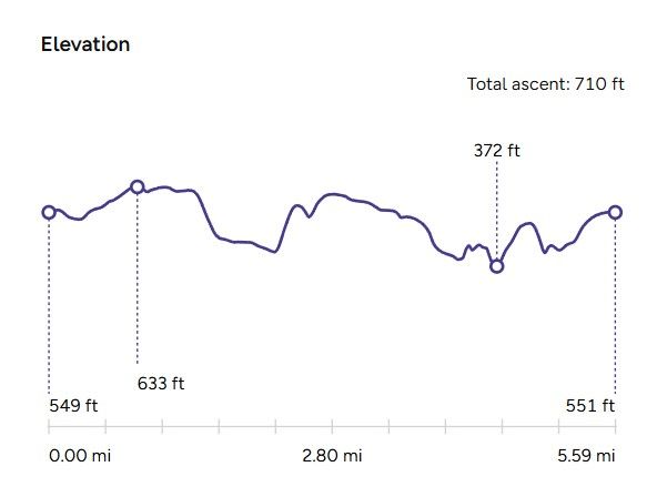 Elevation